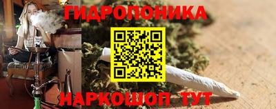 шишки Будённовск