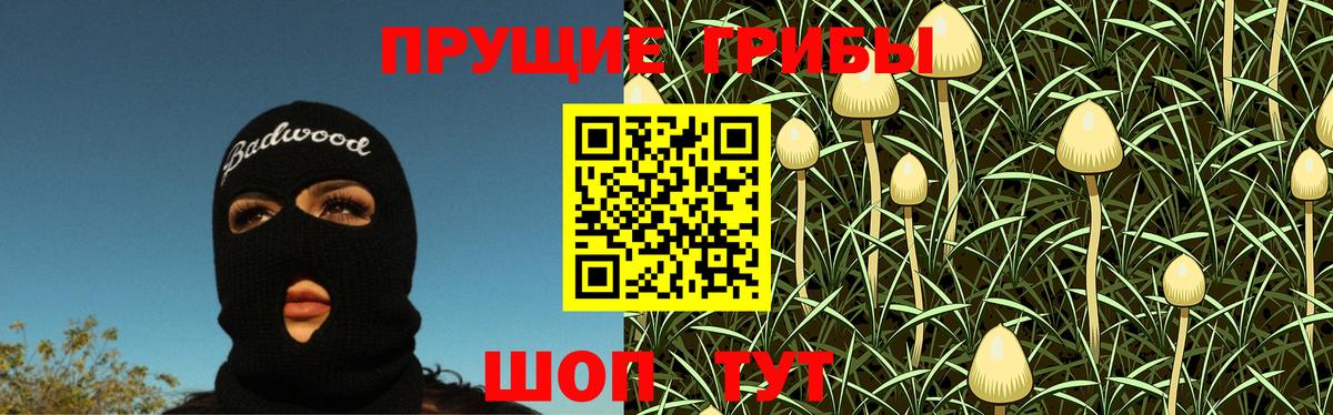 где продают наркотики  Псилоцибиновые грибы MAGIC MUSHROOMS  Минеральные Воды  Вход с VPN  Псилоцибиновые грибы Psilocybe 